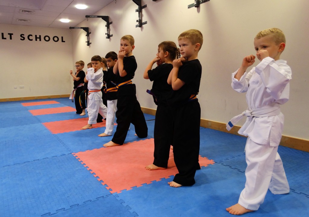 Super Ninjas Crawley Black Belt Academy